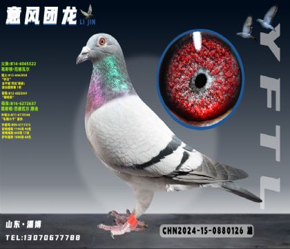 ��˹�� �����߶� �Ǻ�;ֱ��