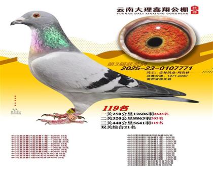 ƽ�������蹫��119��Ӯ15��