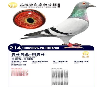 ƽ�����𵺹���214��