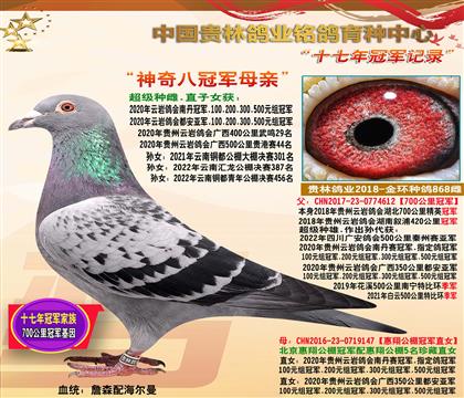 ĸ������Ź���ĸ��