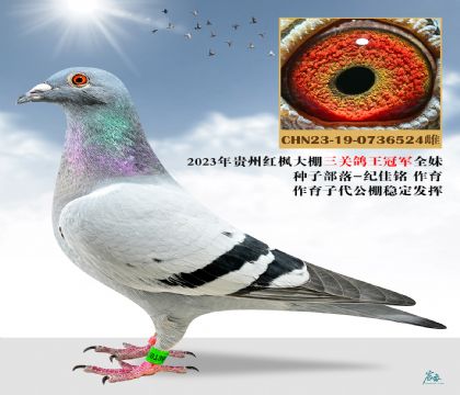 ����������ھ�ȫ�ã���DNA��-0736524-1