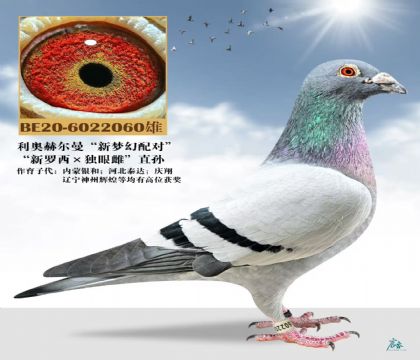 �������������۴ơ�ֱ��-6022060-2