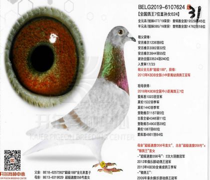 ��������ԭ�ᡰ���ǲ��ˡ�-6107624