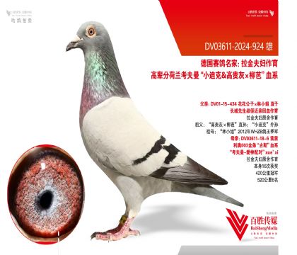 �����ԭ�ᡰ��������-924