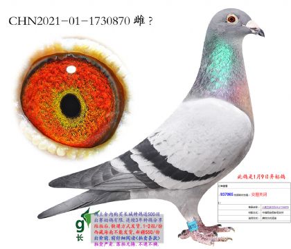 2.����������.1730870