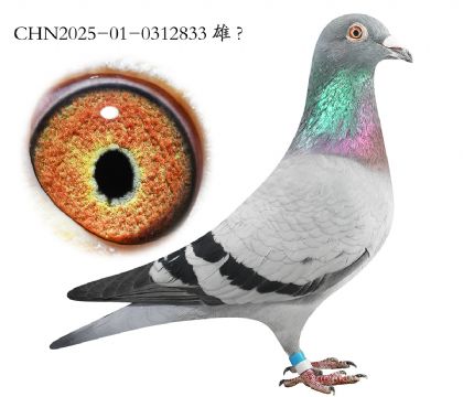 6.��������ŷ���.0312833