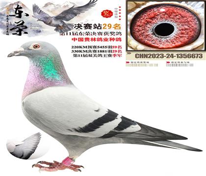 �������ٹ����������