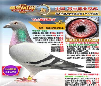 ĸ����������ھ�ȫ��