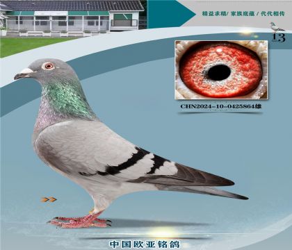 ����ɣ��ʿ048ͭ��324��X061ֱŮ488