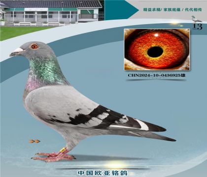 ����614X061ɣ��ʿֱ��337X����926ֱŮ239