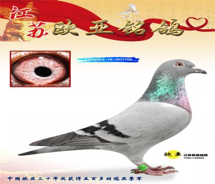 �Ǳ�ԭ��³��ֱ��129X�����165