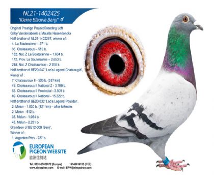 班吉(全省冠军)直孙1402425