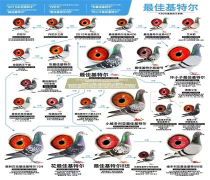 ��ѻ��ض�����