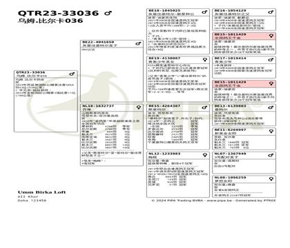 ����Ѫͳ��