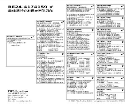 ����Ѫͳ��