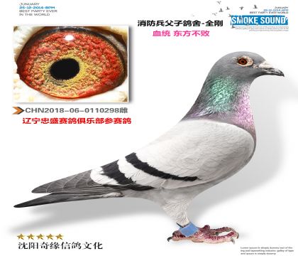 �������ܣ������ִƣ�