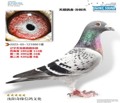 ��������420����8�������ָ��15W��