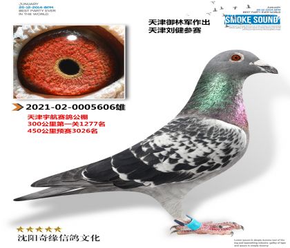 ���־����������������룩