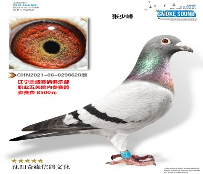 ���ٷ壨��ʢ����Ժ�ڲ����룩