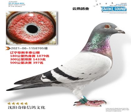 �����ھ�ֱ�ӣ���̩�������397����