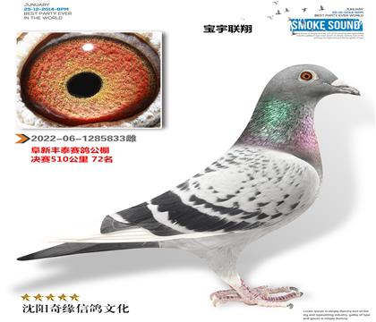 ֱ������