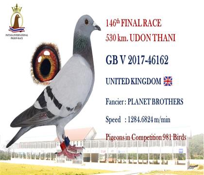 ����ĸ����