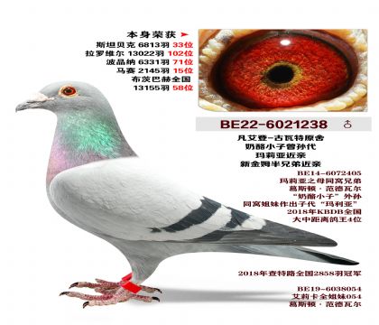 ������.����С�������-�����ǽ��ס�