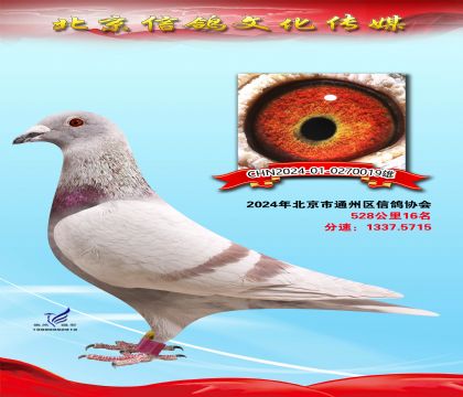 ͬ����ƽ��