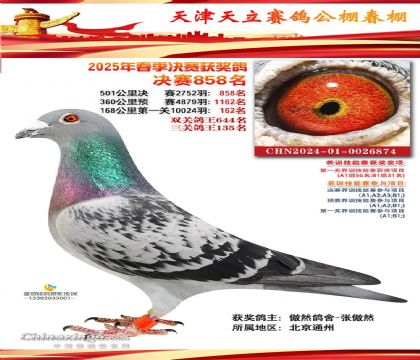 ͬ����ƽ��