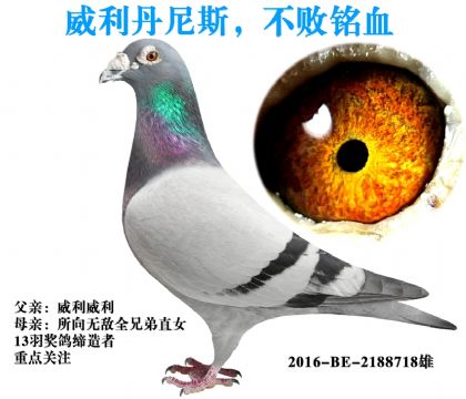 ��������˹