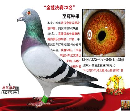 �Ƹ븸��һ����������73��