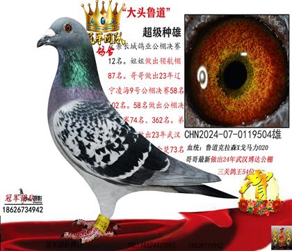 �Ƹ븸��Ҳ���۸���