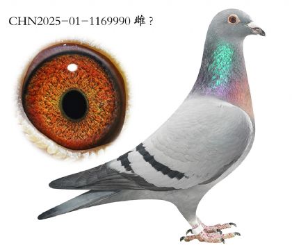 2.����x������x�Ǳ�.1169990