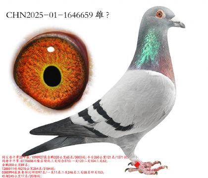 3.��¡��x������x³��.1646659