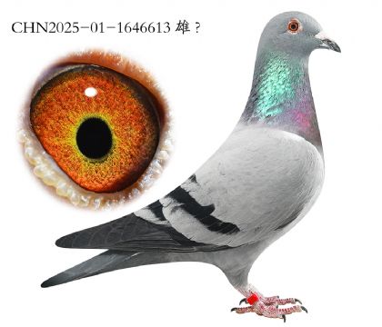 5.���ɭx����x��ʱ��.1646613