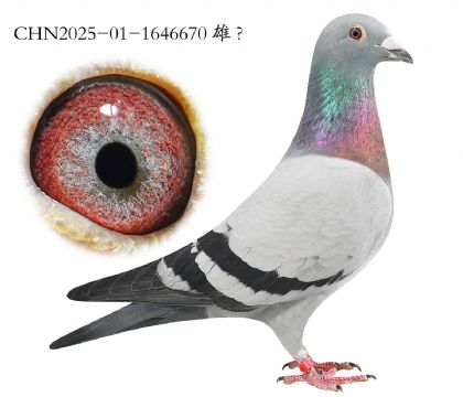 7.�Ĺظ���12���Ӵ�.1646670