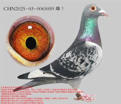 10.��ʤ�Ĺ�15��ƽ��.0065059