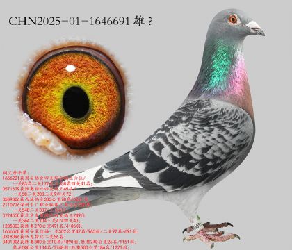 12.�Ĺظ���6��ƽ��.1646691