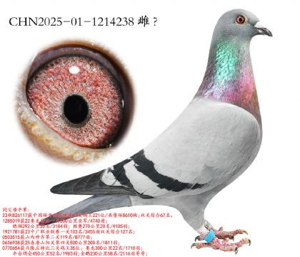 16.����һ���Ǿ�ƽ��.1214238