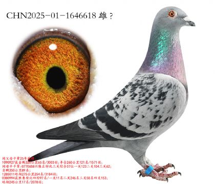 3.��¡��x������x³��.1646618