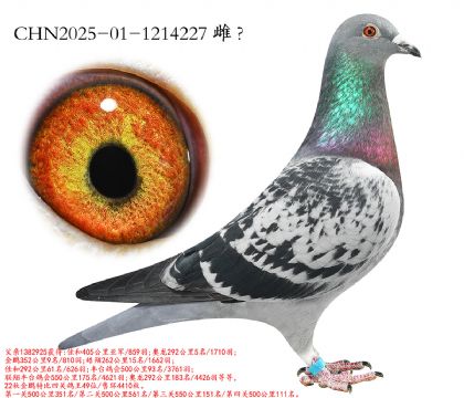 8.��ʱ������ǰʮ�Ӵ�.1214227