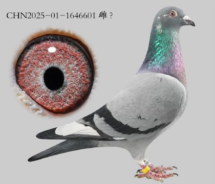 7.��ʱ��x����x����.1646601