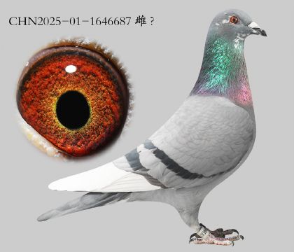 6.����x��ʱ��.1646687