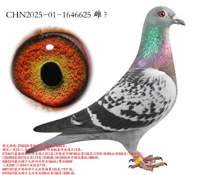 9.��ʤ�Ĺ�15��ƽ��.1646625