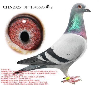 15.����һ���Ǿ�ƽ��.1646695