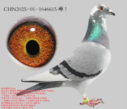 5.���Ǹ��4��ƽ��.1646615