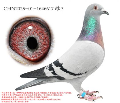 3.��¡��x������x³��.1646617