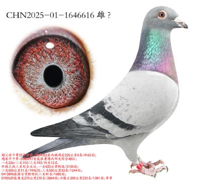 6.���Ǹ��4��ƽ��.1646616