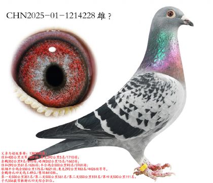 7.��ʱ������ǰʮ�Ӵ�.1214228