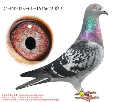 14.���ޱ������Ǿ�ƽ��.1646622